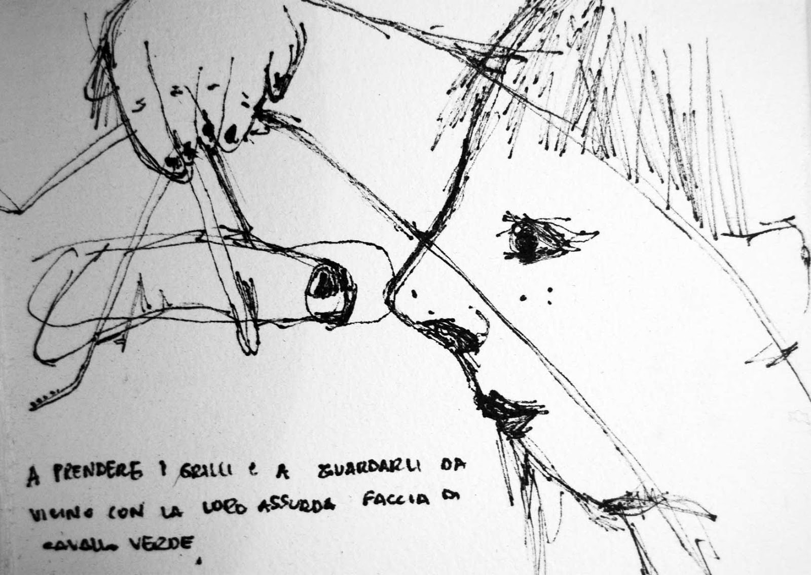 Su il sentiero dei nidi di ragno - Rosita Uricchio illustrator