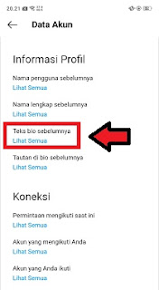 cara melihat bio instagram sebelumnya