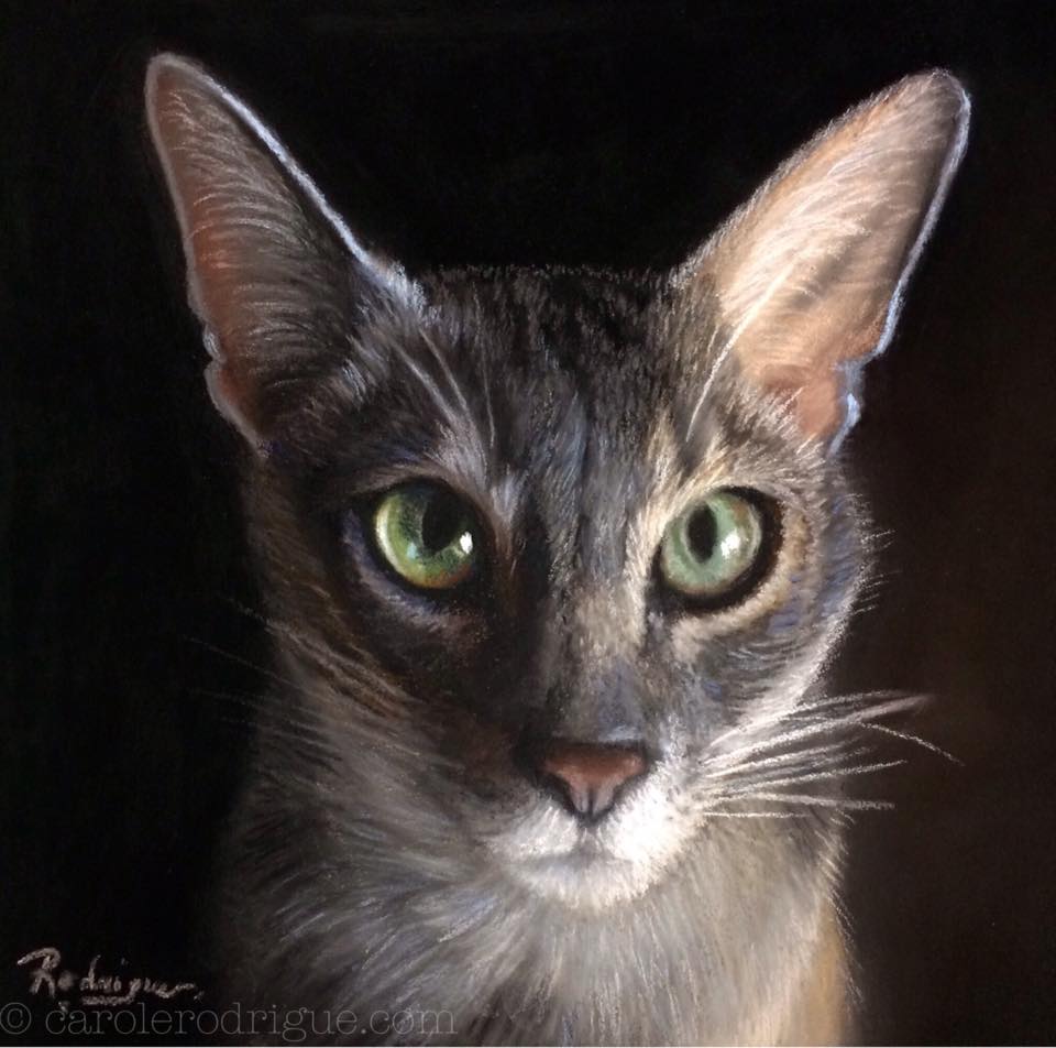 Oil Cat Portrait Commission Award Animal Oil Cat Portrait Commission Award Animal