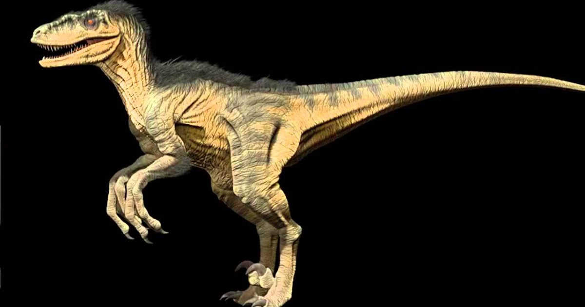 Dinossauros: Utahraptor