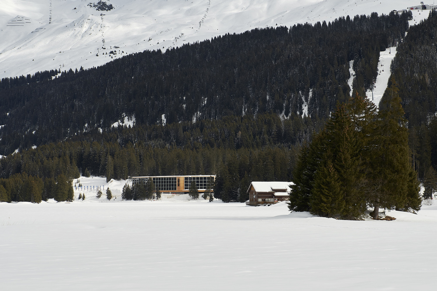 Whitestone Tours Lenzerheide