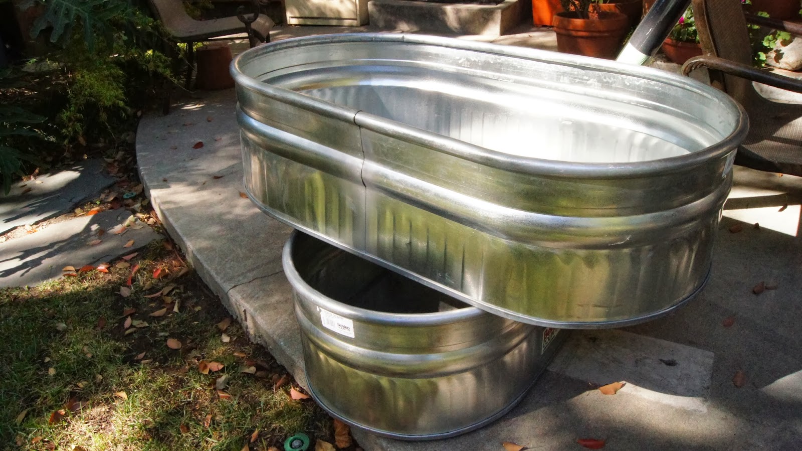 Sly's Mise En Place A Horse is a Horse of Course... But a Horse