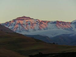 Lotheni Wilderness