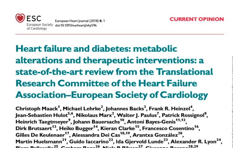 muestra de papel de revisión de diabetes tipo 2 muestra de papel de revisión de diabetes tipo 2