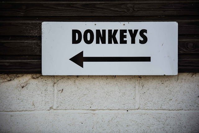 Donkeys, that's the way