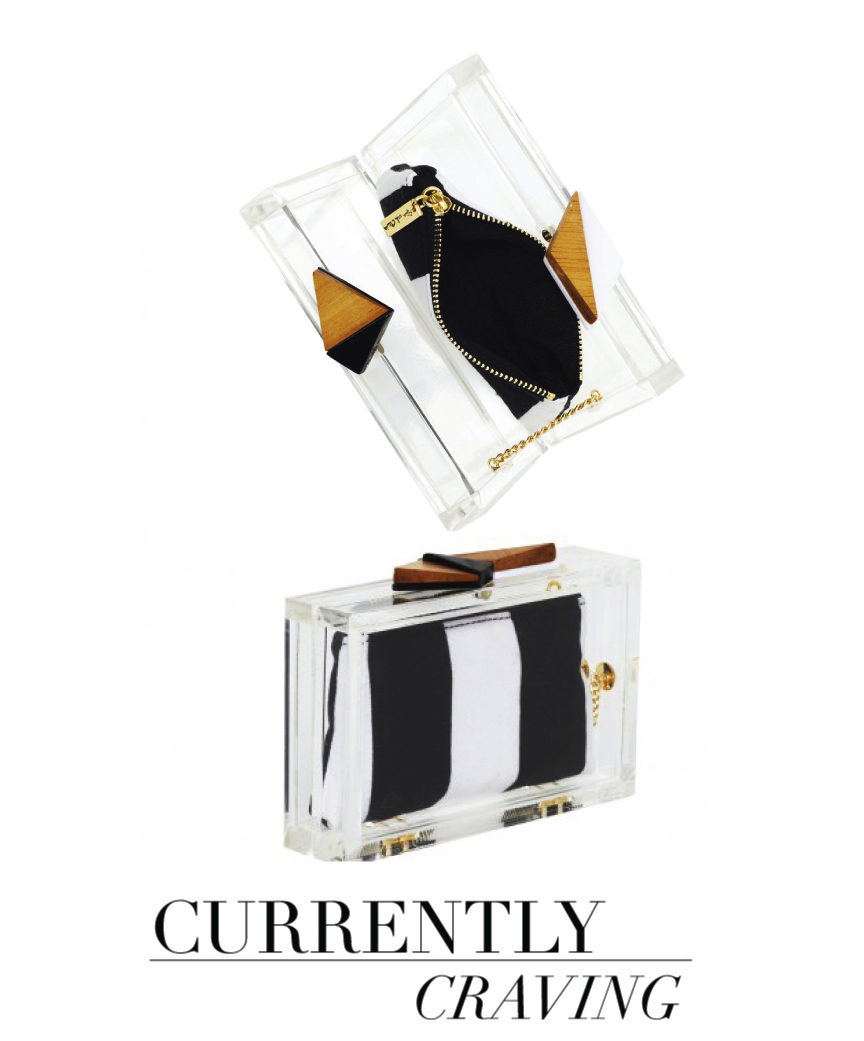 Leather Clear Clutch main image 1