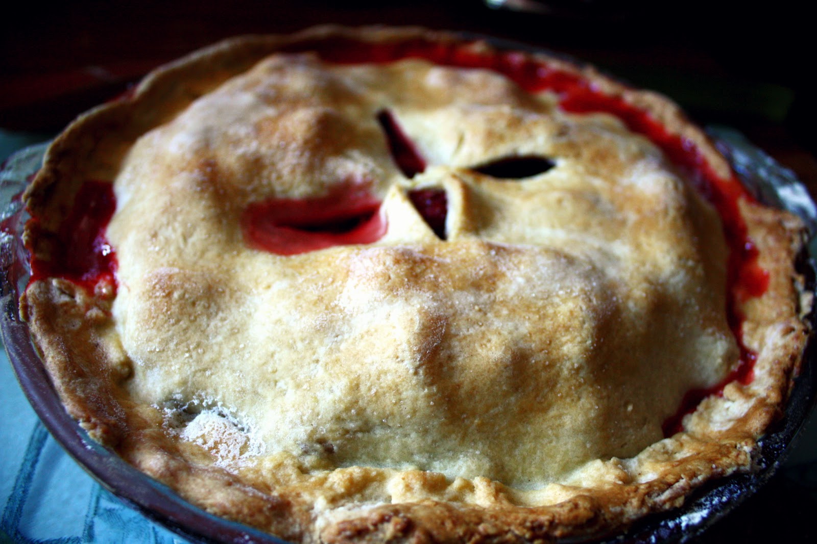 we eat. happy. strawberry rhubarb doublecrust pie.
