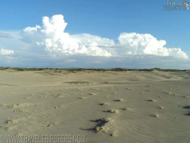 paoay sand dunes sandsurfing