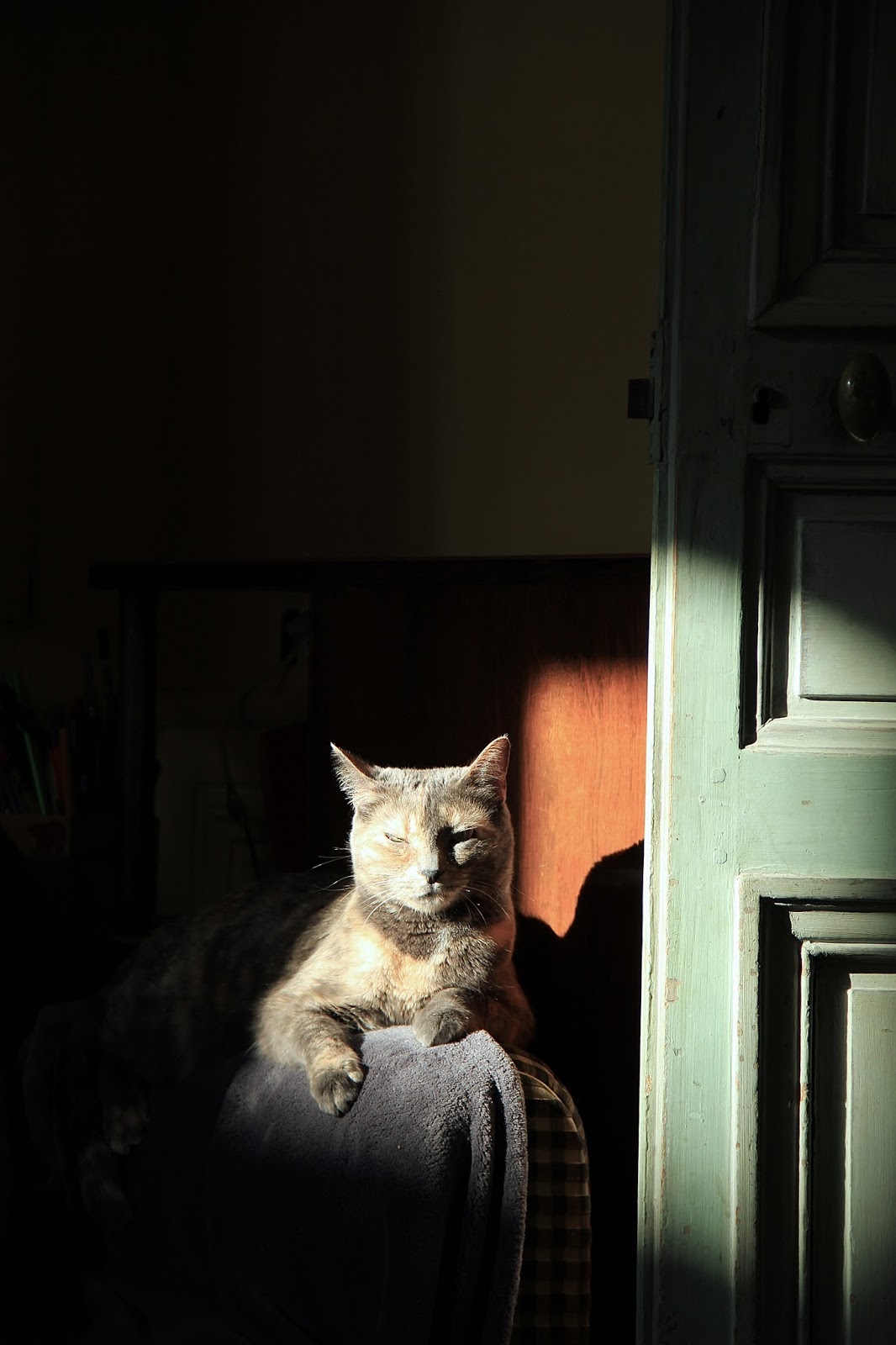 Swig Farben Der Woche Couleurs De La Semaine Colors Of The Week