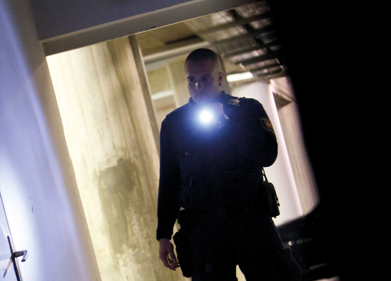 Sintal: Varovanje podjetij