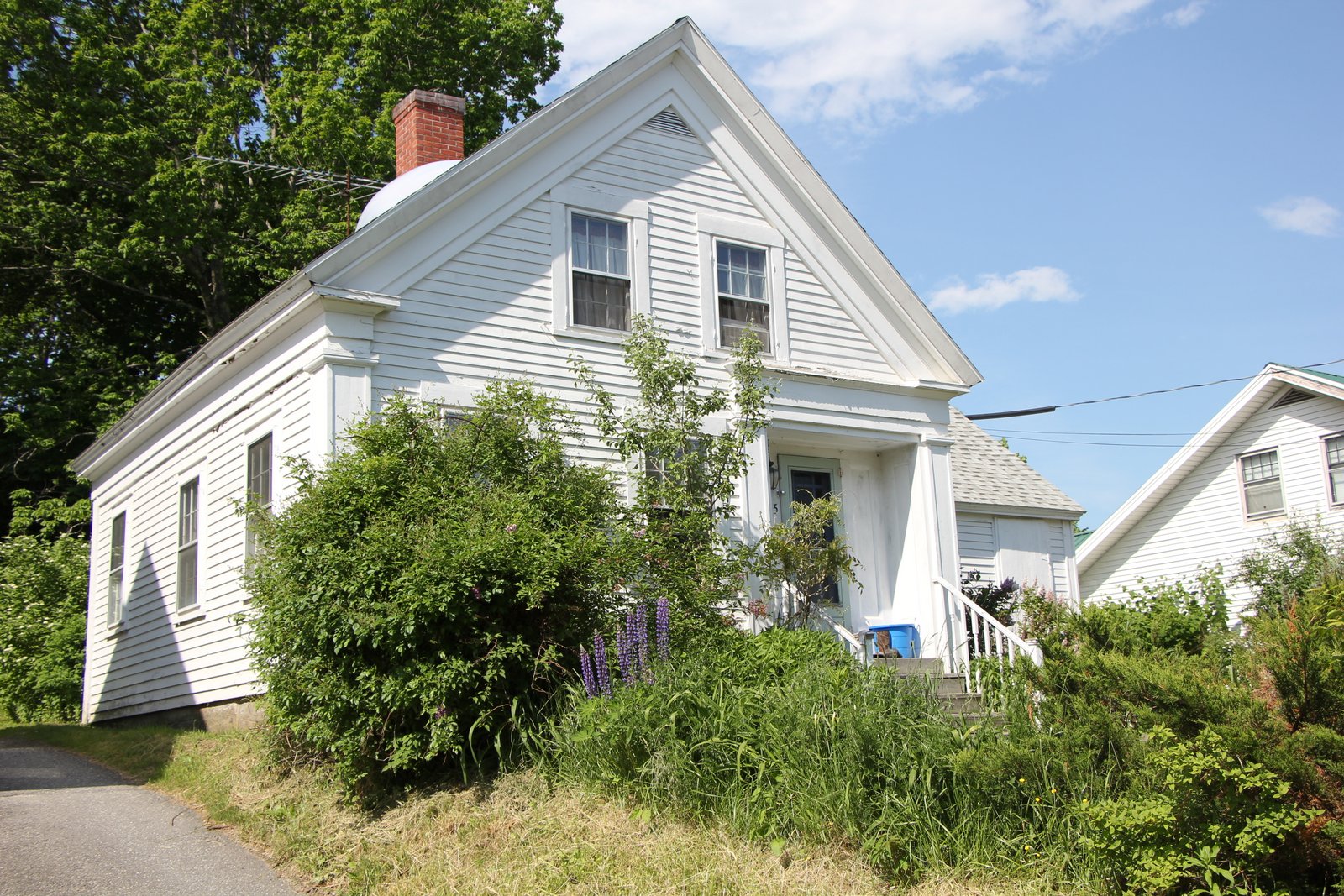 Salt Water New England Damariscotta Mills Fish Ladder Restoration