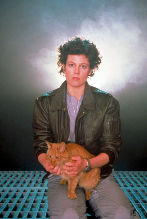 Ripley e o gato Jones