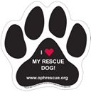 Another Good Dog (My Dog Blog)