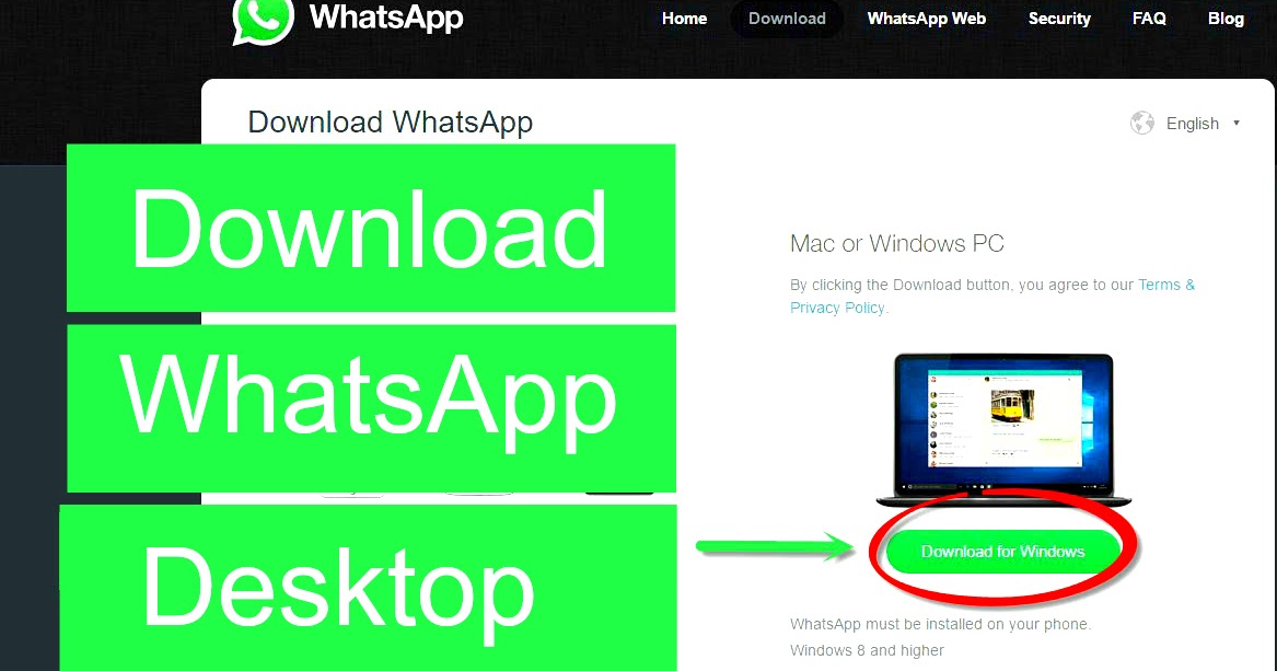 как whatsapp скачать фото если нет загрузки как whatsapp скачать фото если нет загрузки