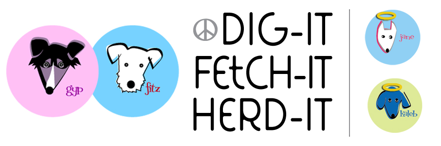 Dig-it Fetch-it Herd-it