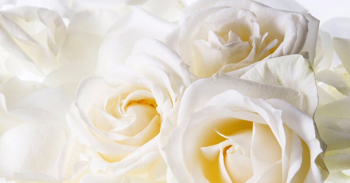 Джамиля с днем рождения картинки красивые с надписями и пожеланиями