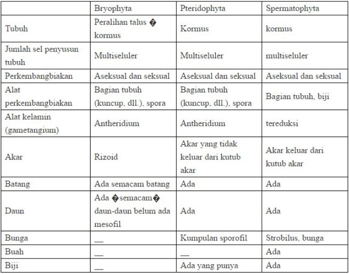 Jelaskan perbedaan antara Bryopsida dan Pteridophyta. - Primalangga