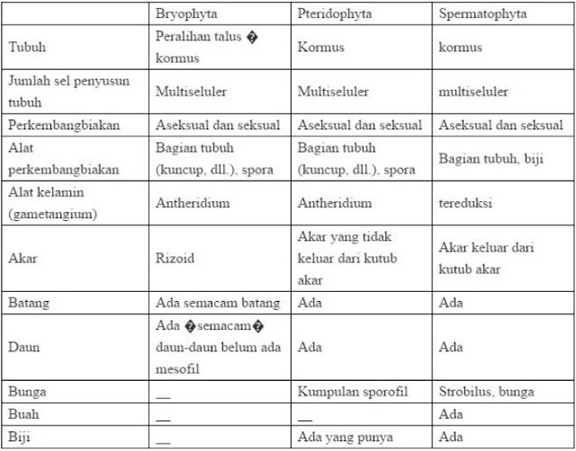 jelaskan-perbedaan-antara-bryopsida-dan-pteridophyta-primalangga