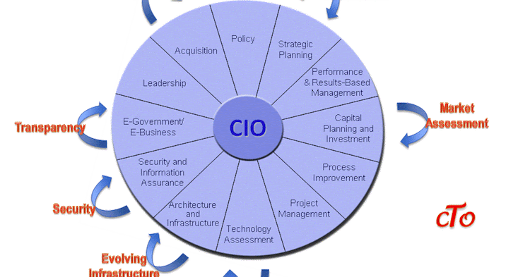 Nanite Solutions: Becoming a CTO or a CIO