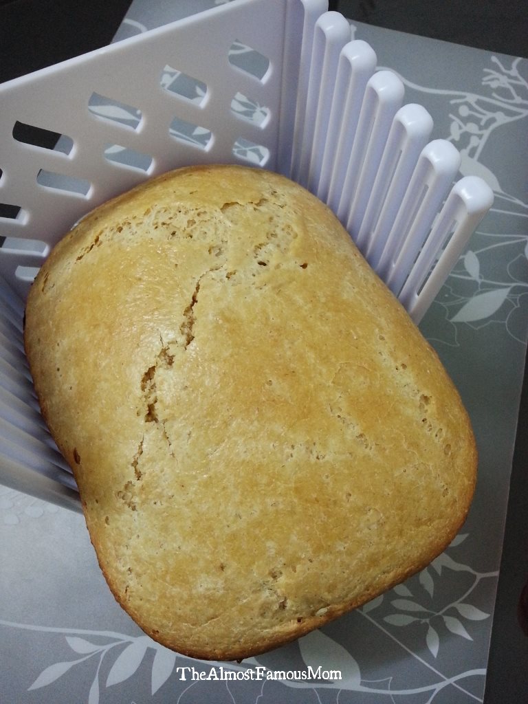 The Almost Famous Mom BG 100 Loaf (Oat Bran Loaf)