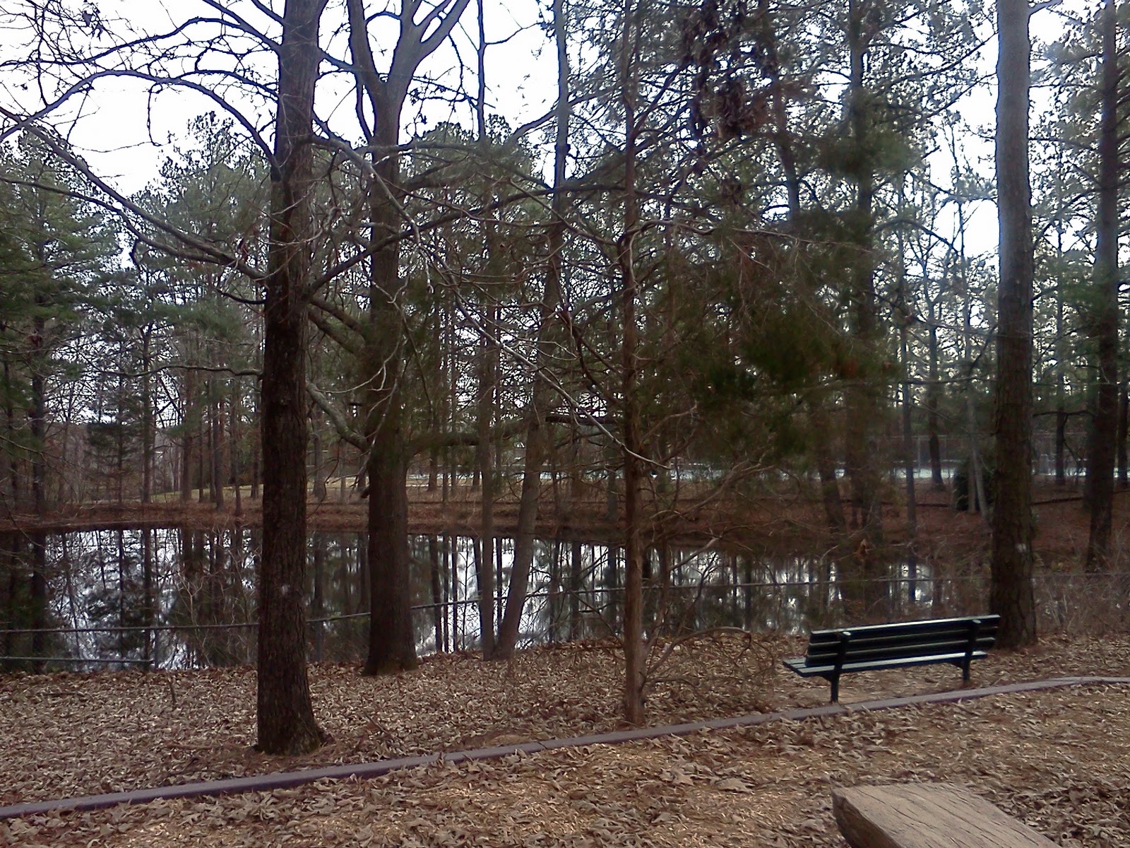 The Stir Crazy Moms' Guide to Durham Garrett Road Park