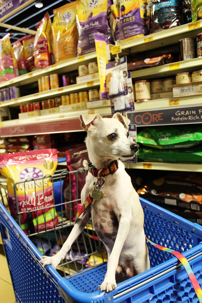 Finding 5 Signs of Wellness at PetSmart! #WellnessPet Dog Food Review