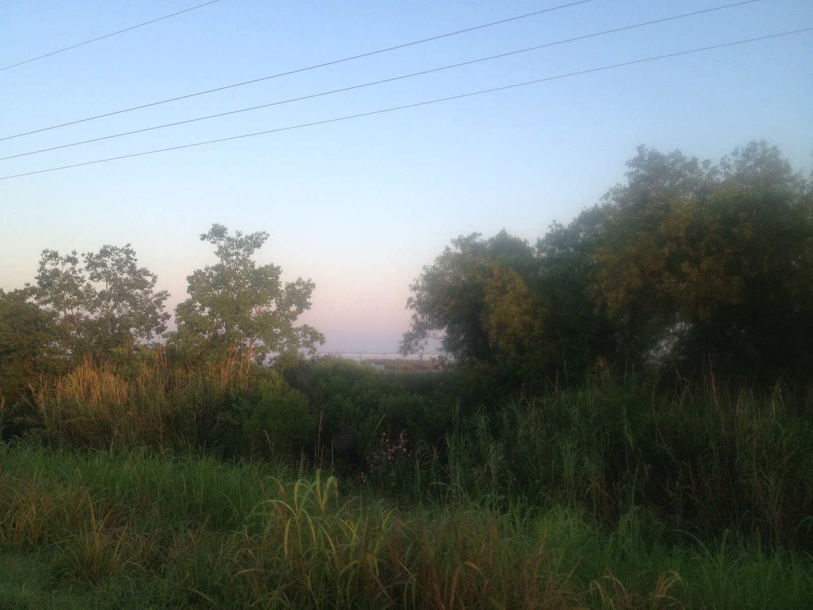 Ride with Teambunt Day 23. Pearl River LA to New Orleans LA 54 miles