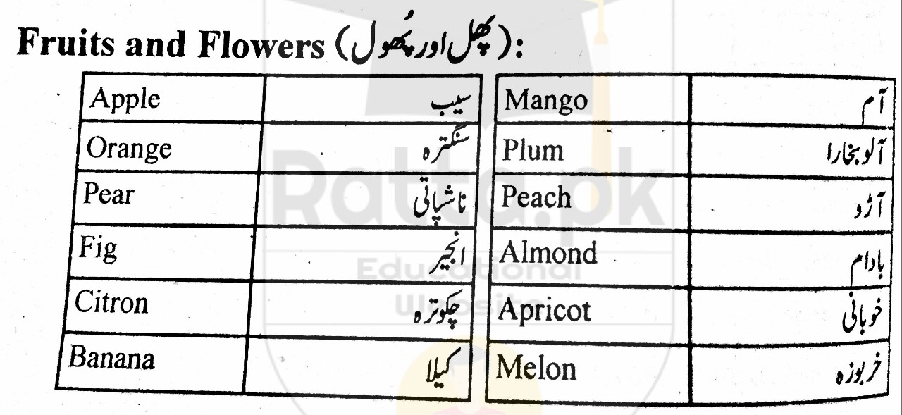 Fruits and Flowers English Words and Meanings in Urdu English