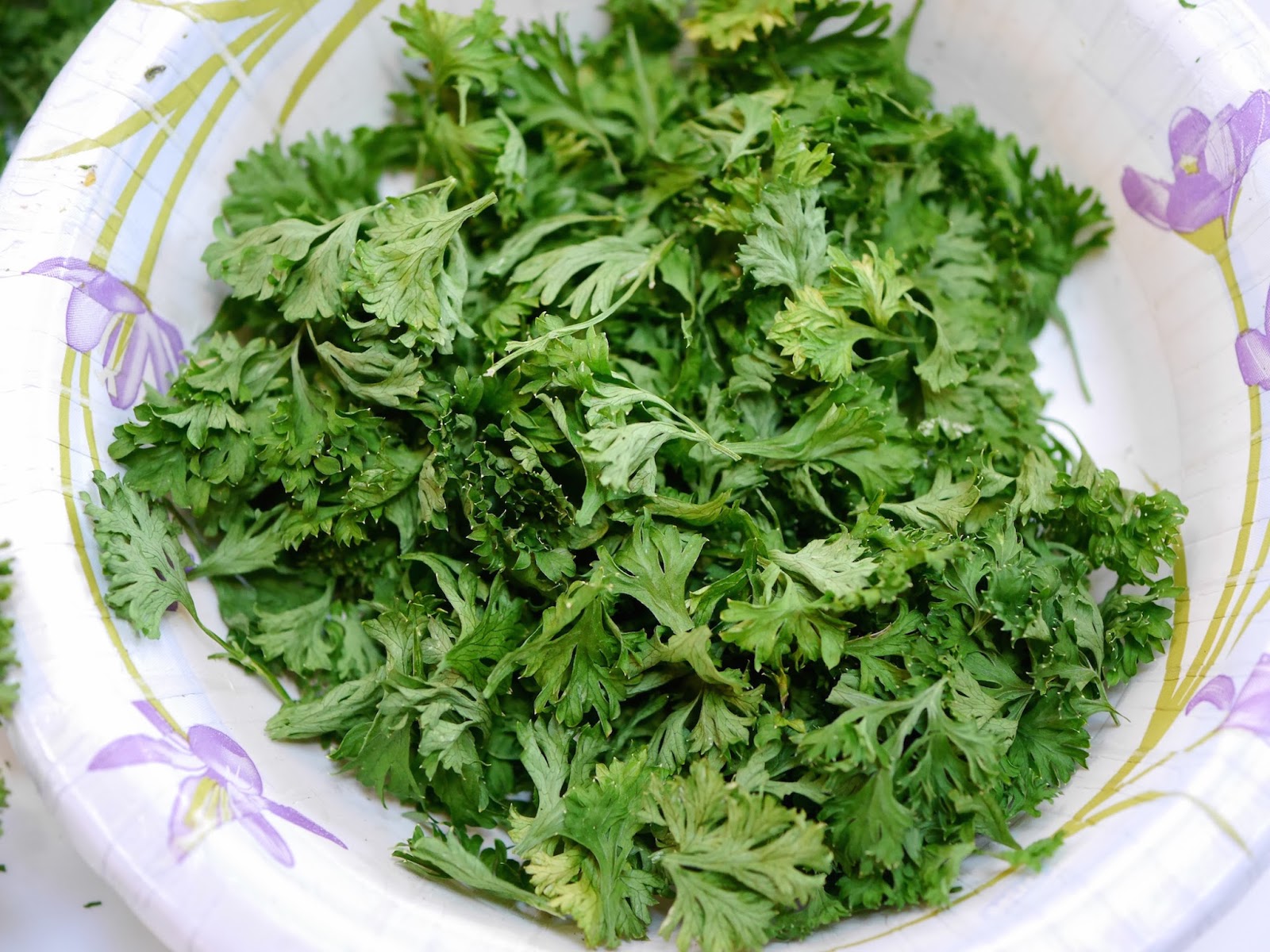 Foods For Long Life Make Dried Parsley Flakes In 2 Minutes Make Dried Parsley Flakes