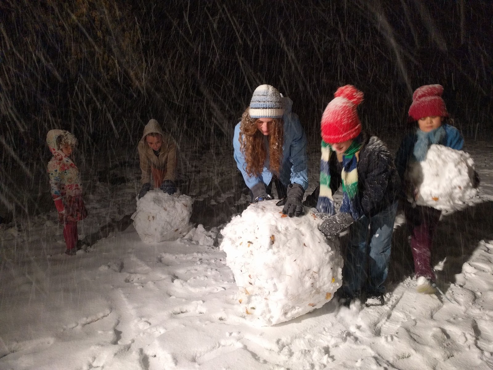 The Wonder of Snow ~ Eco-novice