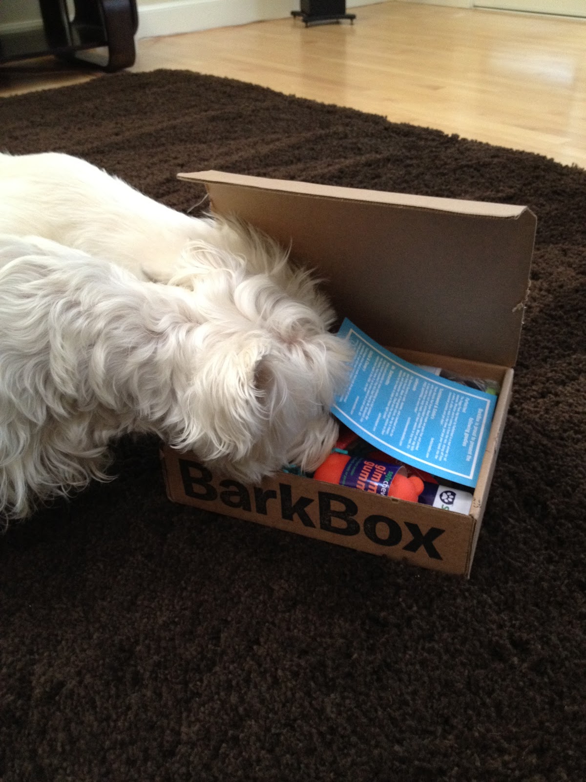 UK to California June Bark Box