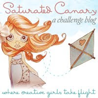 Saturated Canary Challange Blog