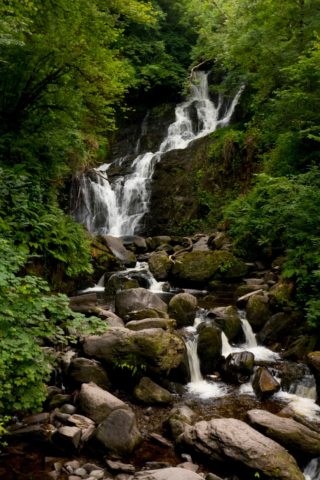 A Backpacker's Life Killarney National Park