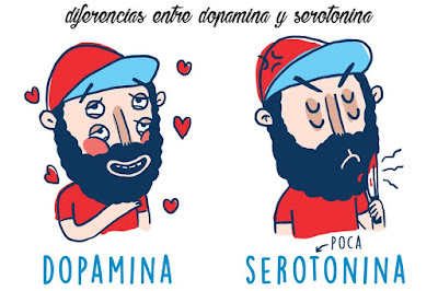 Definición Serotonina