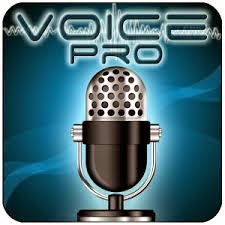 Voice PRO 3.3.7 Apk