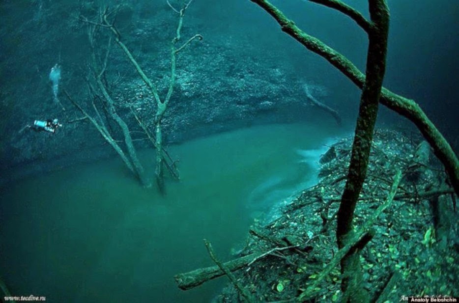 World Of Technology 39 crazy natural phenomena on earth (61 Pics)