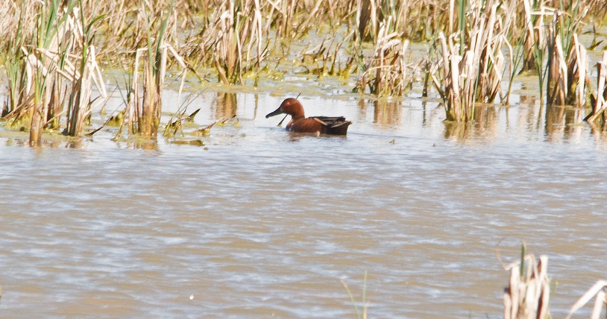PHOTOGRAPHY BY DEB HIRT Put Hackberry Flats in Tillman County, OK On