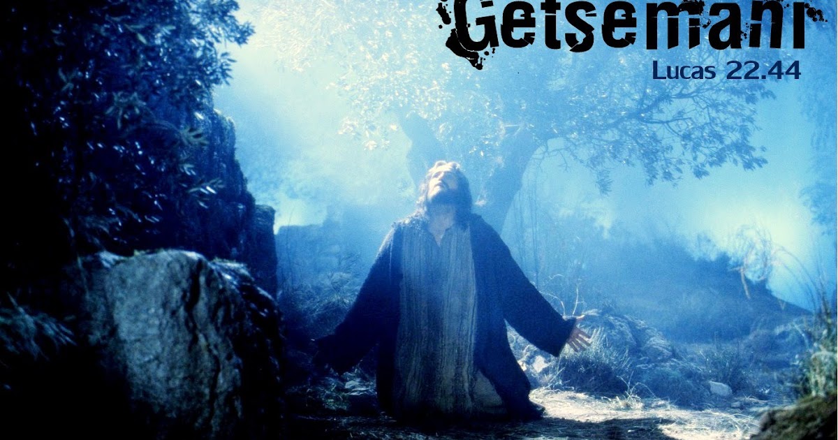 Dios Te Ama El Poder de