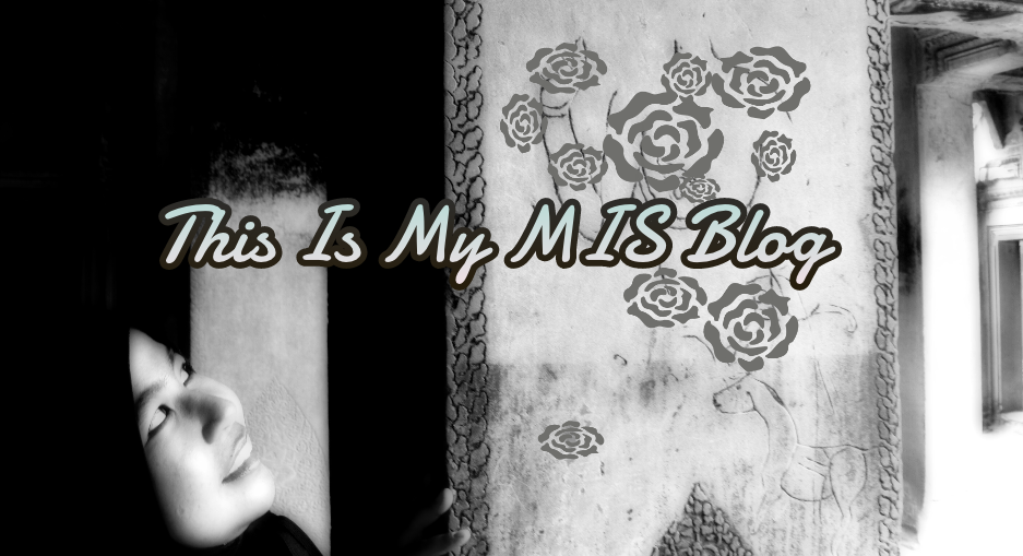 This Is My MIS Blog