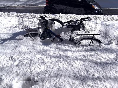 Winter snow and ice 2016