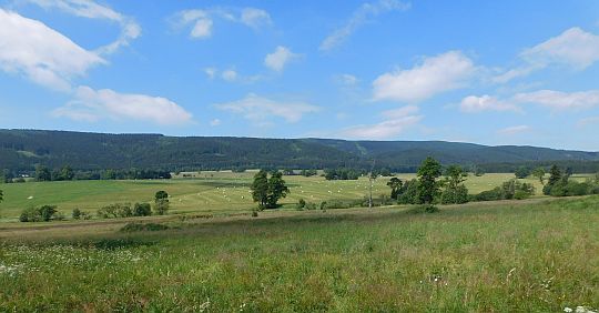 Dolina Dzikiej Orlicy (widok na stronę czeską).