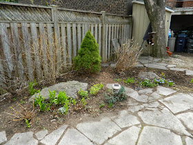 Leslieville spring garden clean up after Paul Jung Gardening Services Toronto