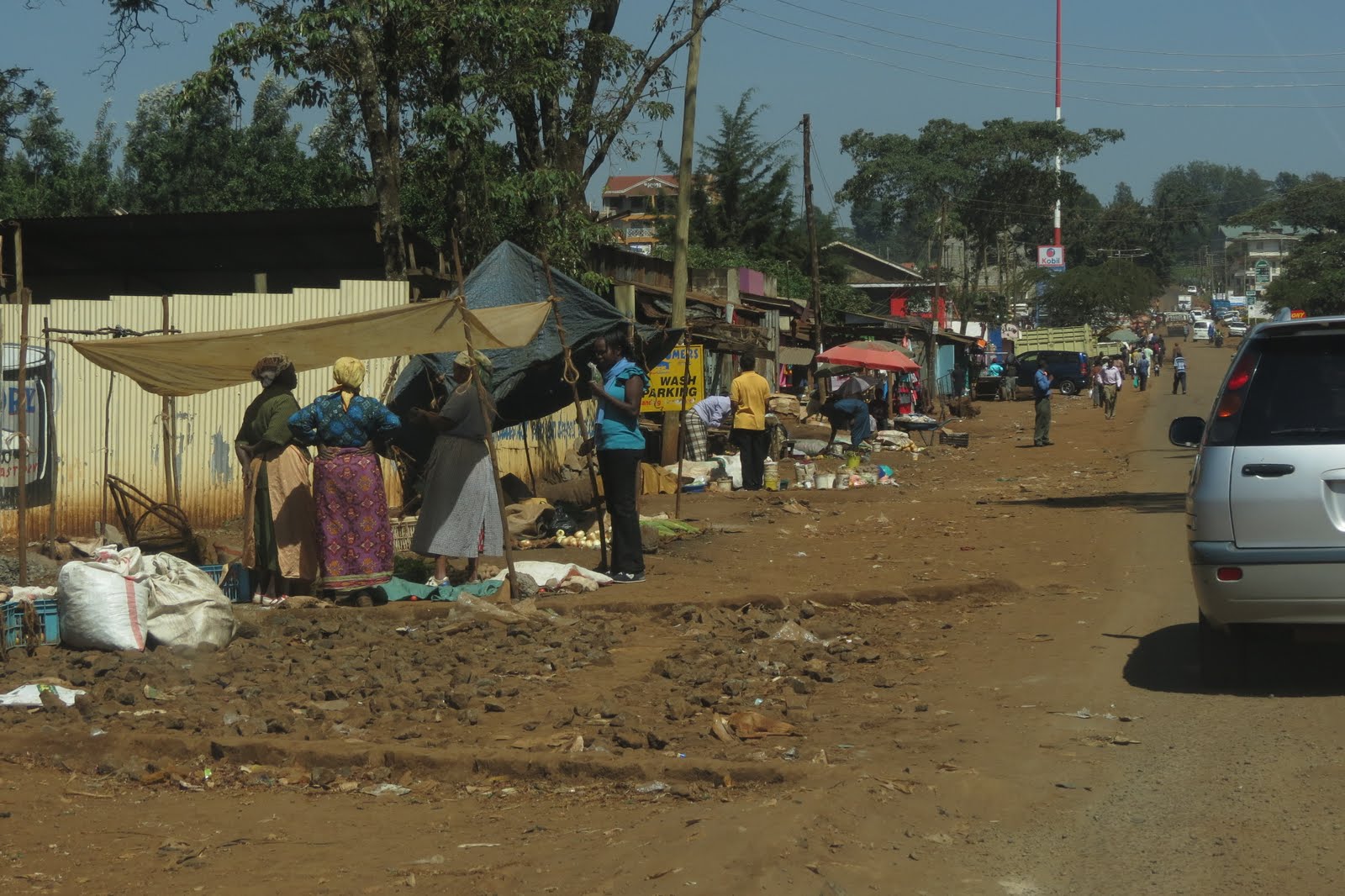 Report from Nairobi Nairobi, Kiambethu Tea Farm in Limuru