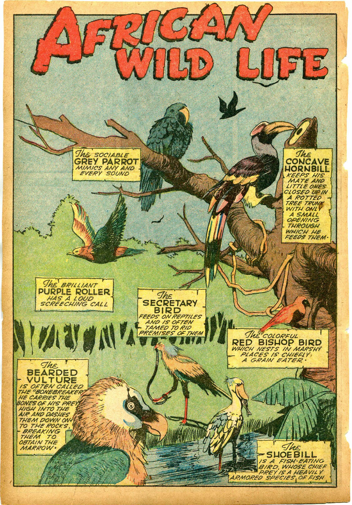 Read online Jungle Comics comic -  Issue #58 - 42