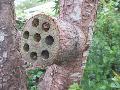 Simple bee hotel mafe from a log drilled with holes.
