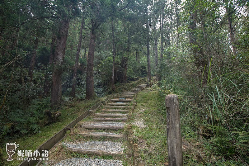 翠峰湖環山步道