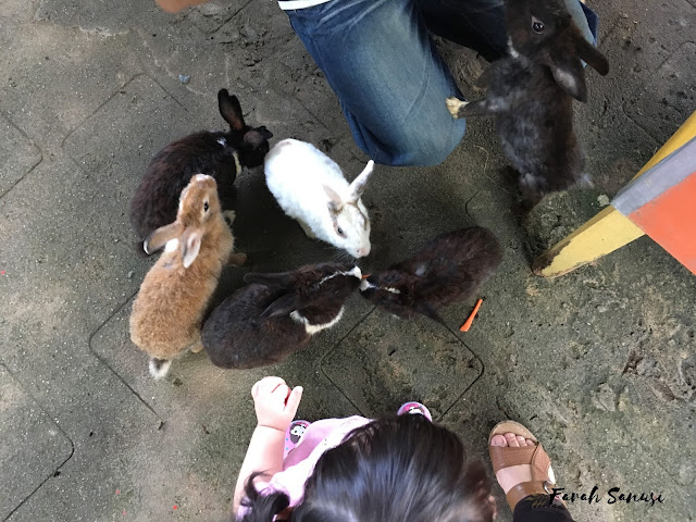 Wildlife Park, Langkawi