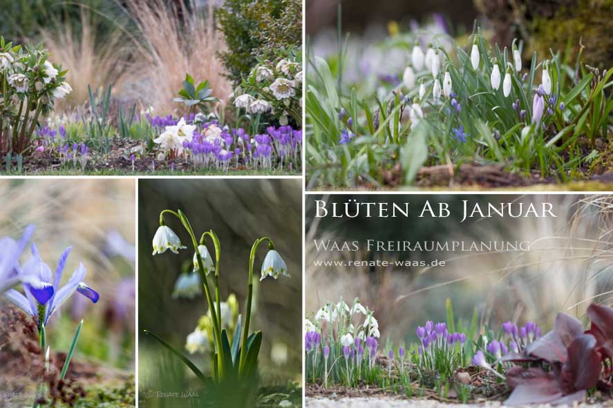 Gartenplanung, gartendesign und gartengestaltung: pflanzplanung ...