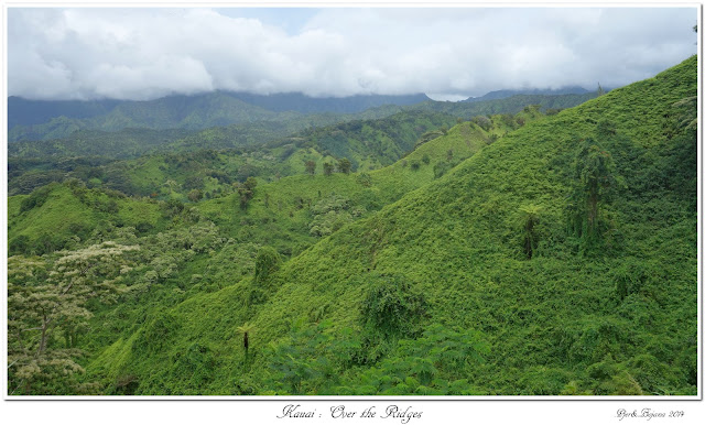 Kauai: Over the Ridges