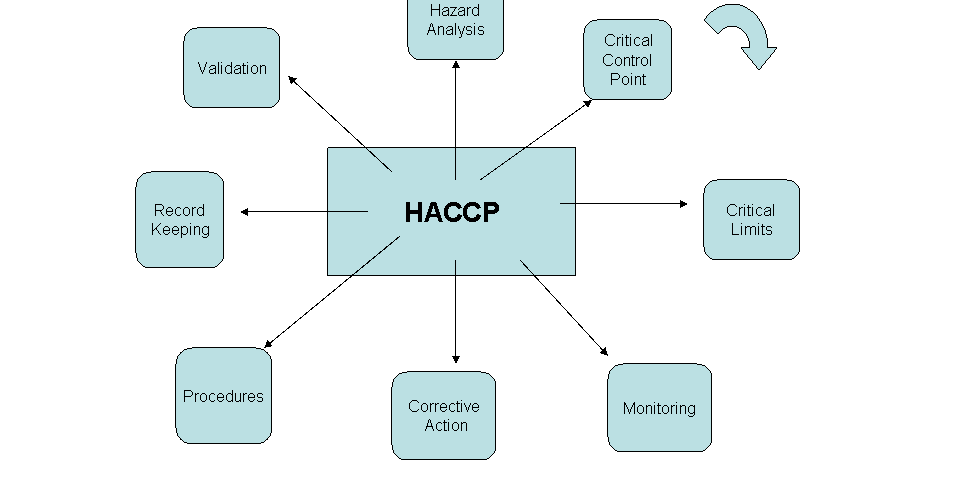 Насср это. План HACCP. ХАССП схема. План ХАССП диаграмма. HACCP схема.